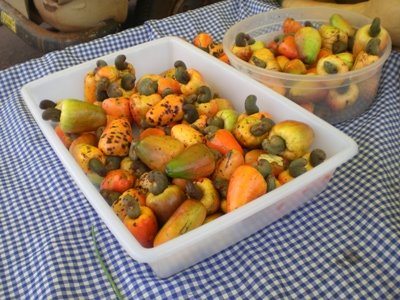 Cashew Fruit for sale at the farmers market in Maringa, PR Brazil | Fake Food Free