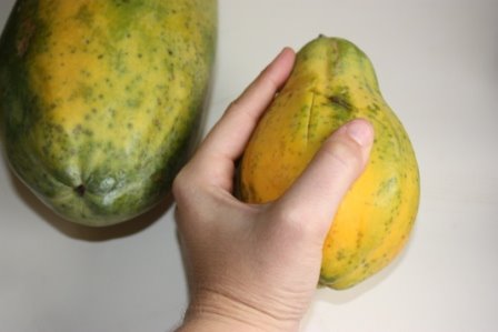 Brazilian Papaya and Mamão and a Papaya Breakfast Cake Recipe