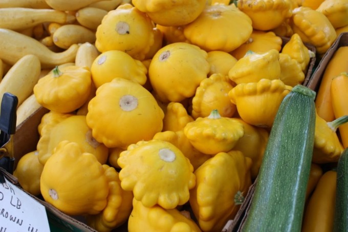 Patty Pan or Scalloped Summer Squash