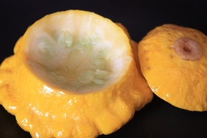 Patty Pan Squash recipe prep