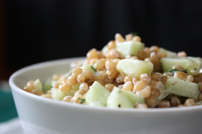 Cucumber Dill Wheat Berry Salad | Fake Food Free | A hearty cold grain salad with a tangy yogurt dressing and refreshing cucumber. 