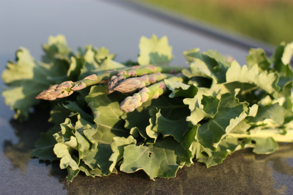 Asparagus and kale from the garden