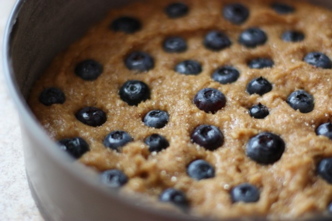 Blueberry Almond Cake Recipe | Fake Food Free