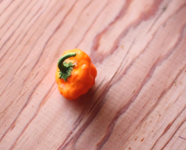 Scotch Bonnet Pepper | Fake Food Free