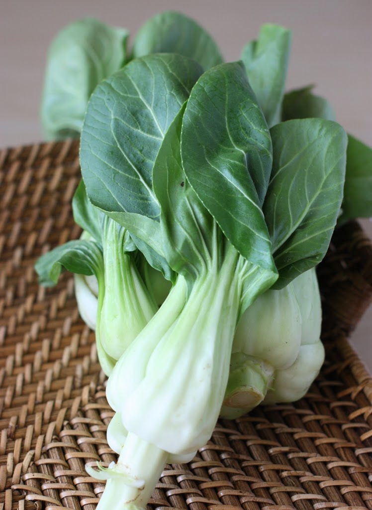 Pak Choi, Chinese Cabbage 