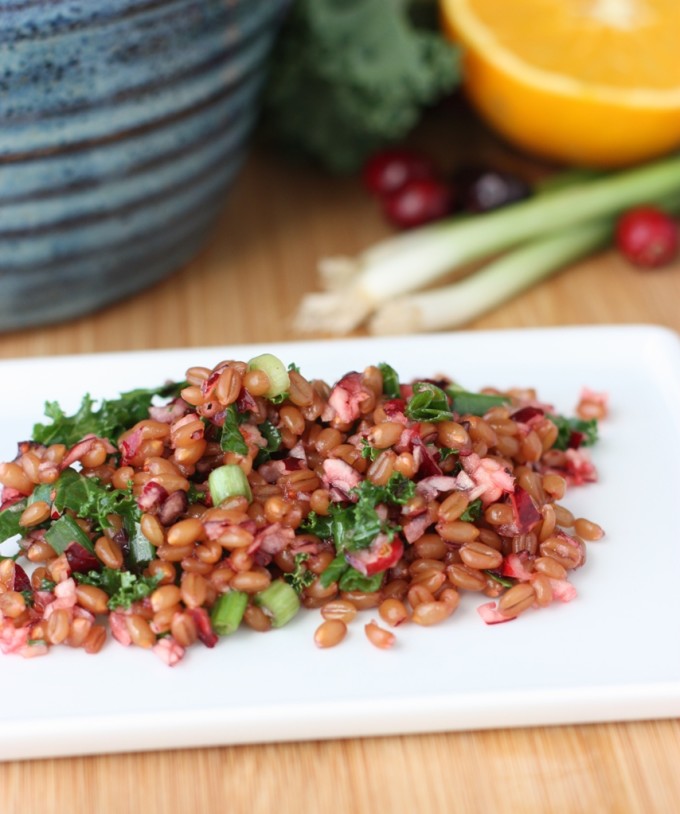 Wheat Berry Salad with Fresh Cranberries and Orange Maple Dressing | Fake Food Free | A delicious cold grain salad for Thanksgiving, the holiday season or any time of year!