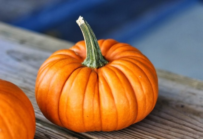 Pumpkin Recipes | Fake Food Free