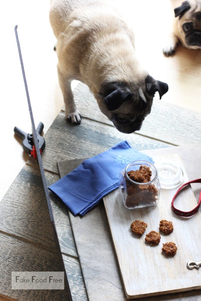 Apple Peanut Dog Treats | fakefoodfree.com