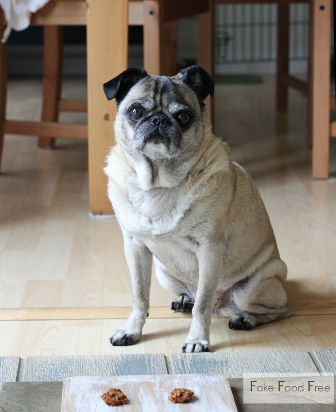 Apple Peanut Dog Treats | fakefoodfree.com