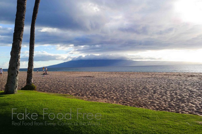 Food, Drinks and Beautiful Views on Maui | Travel recap at Fake Food Free