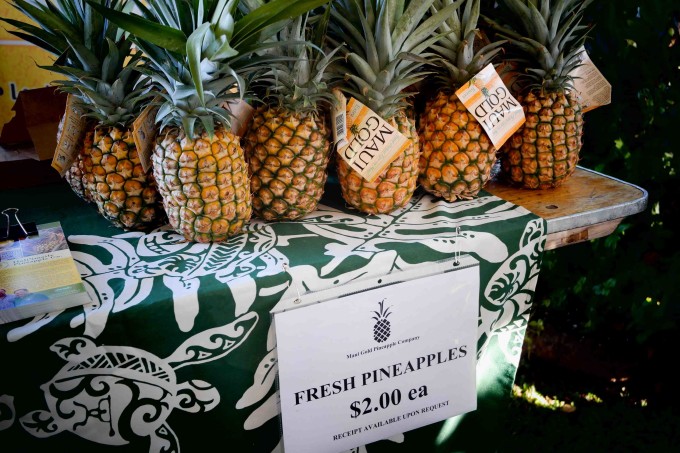 Maui Gold Pineapples at the Maui Grown Farmers Market | Travel recap at Fake Food Free