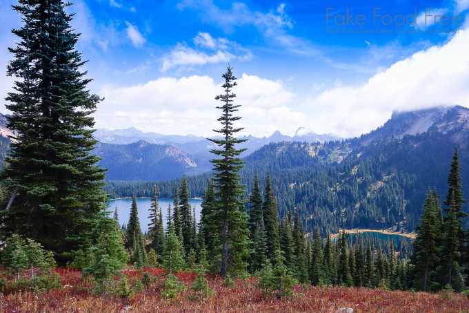 Tipsoo Lake-Naches Loop Trail in Washington | Fake Food Free