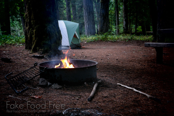 La Wis Wis Campground in Gifford Pinchot National Forest | Fake Food Free