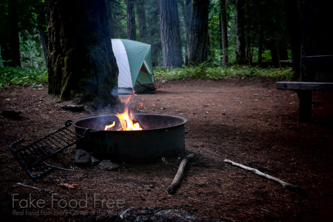 La Wis Wis Campground in Gifford Pinchot National Forest | Fake Food Free