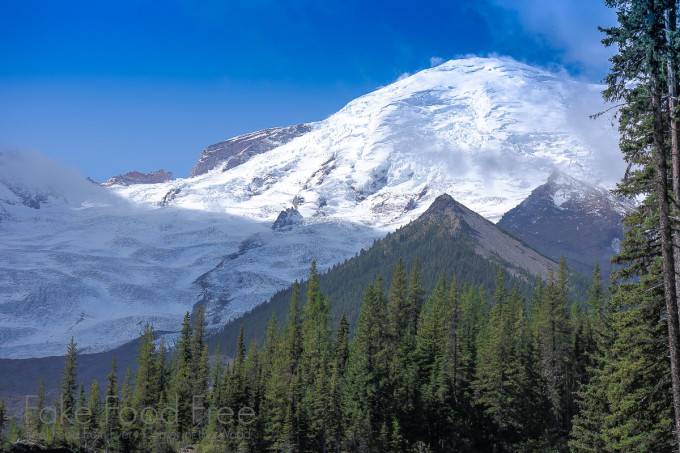 Glacier Basin Trail, Emmons Glacier, White River, Mount Rainier National Park | Fake Food Free