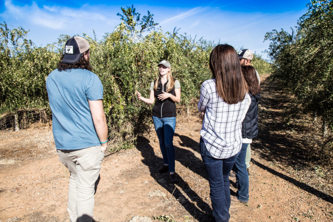  Visiting the farms of California Olive Ranch | Fake Food Free