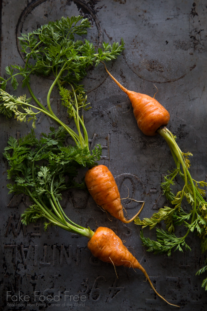 Garden Carrots | Lori Rice | Food Photography
