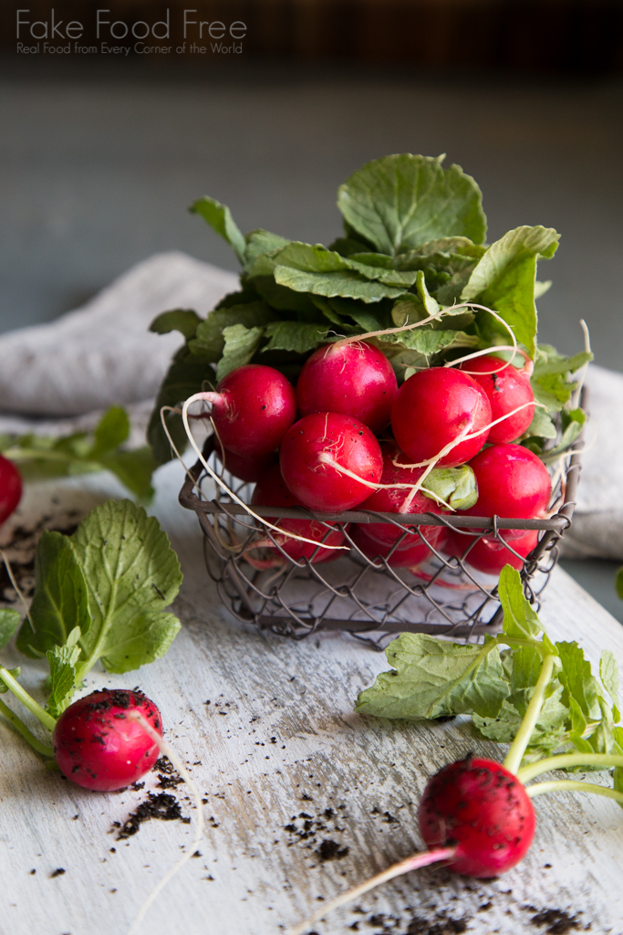 Spring Radishes | Lori Rice | Garden Photography