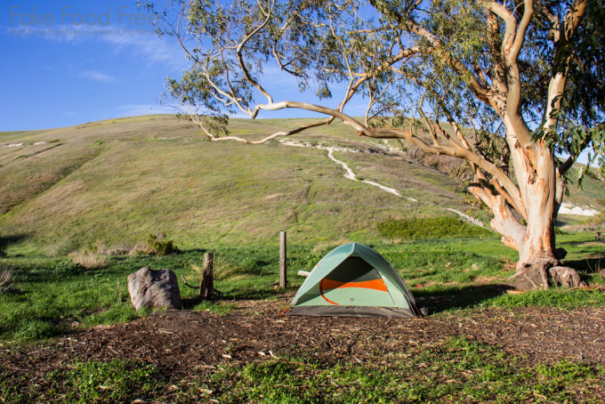 Camping on Santa Cruz Island, campsite 25 | Channel Islands | Fake Food Free