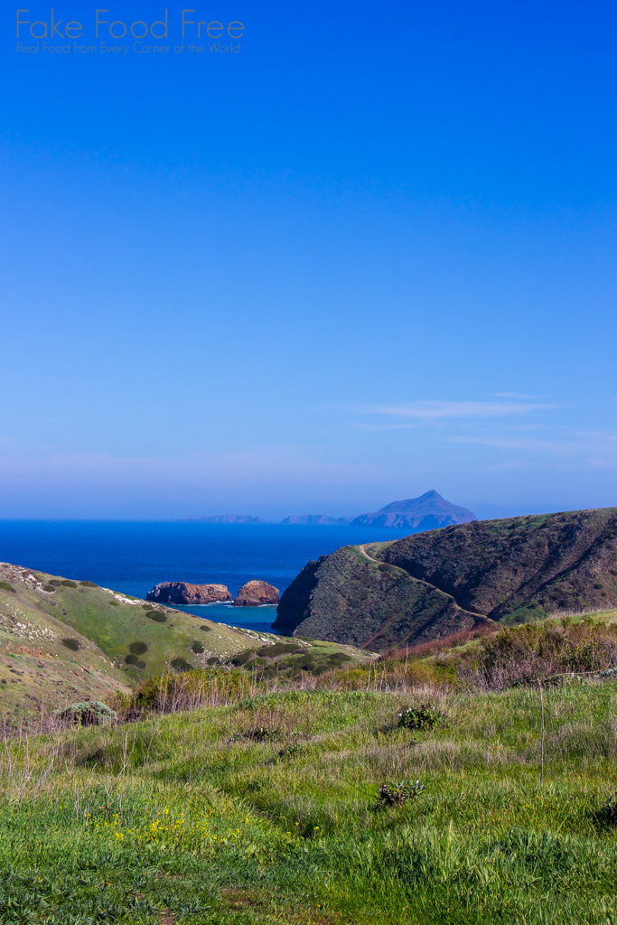 Hike on Santa Cruz Island | Channel Islands | Fake Food Free