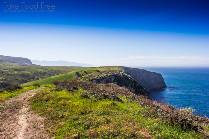 Hike on Santa Cruz Island | Channel Islands | Fake Food Free