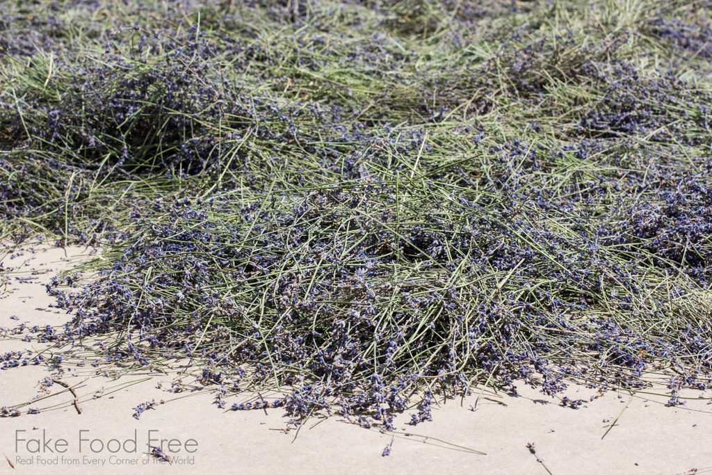 Drying Lavender | Four Favorites June | California Travel | Fake Food Free