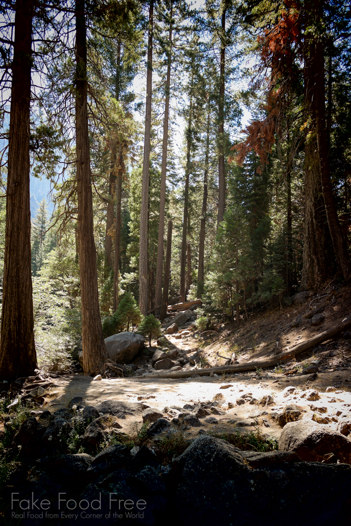 Trail to Mist Falls | Kings Canyon National Park | Four Favorites | Fake Food Free