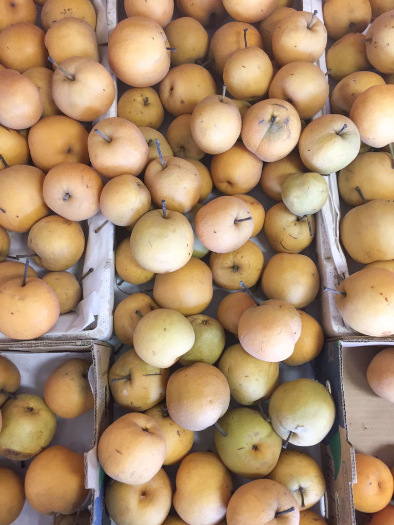 California Asian Pears | October Snapshots