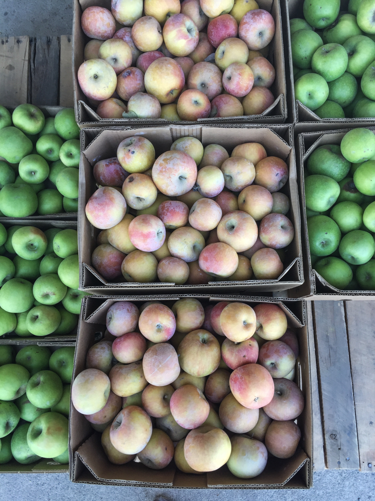 California Fuji and Granny Smith Apples | October Snapshots