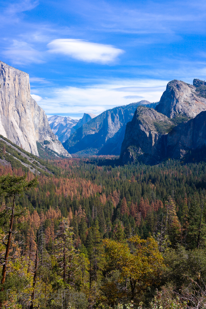 Yosemite National Park