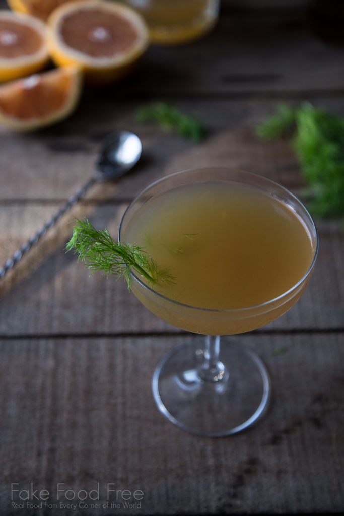 Fennel Vodka Martini Recipe with Pink Grapefruit