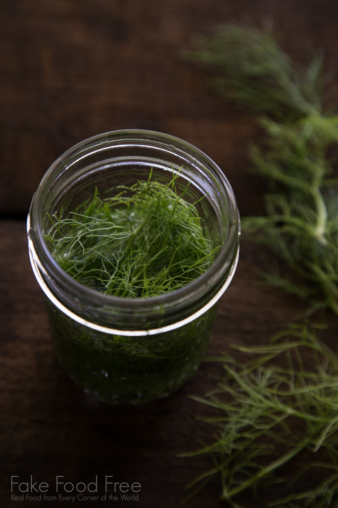 How to make fennel vodka for pink grapefruit martinis