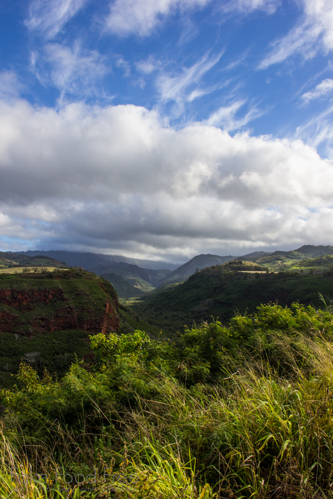 The start to Waimea Canyon Kauai | Fake Food Free Travels