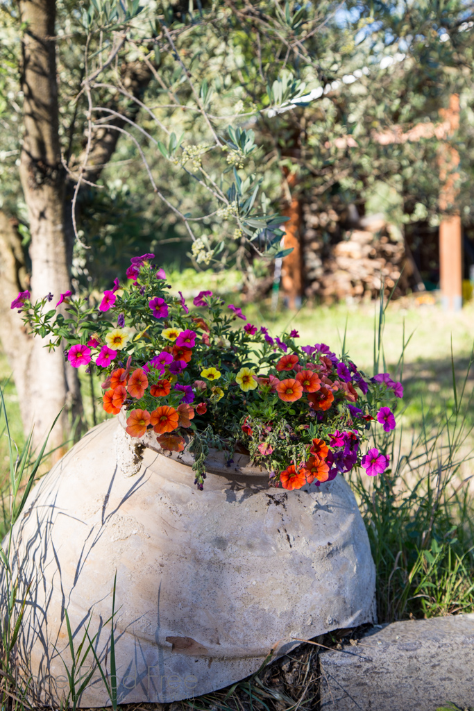 Torri in Sabina, Italy | A food photography workshop