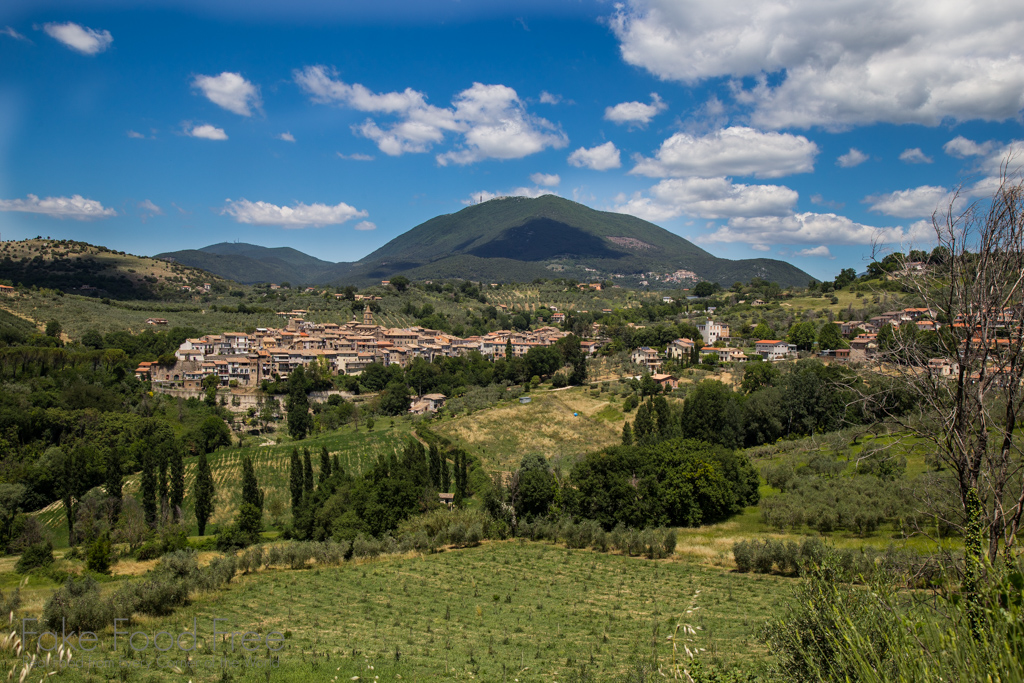 Torri in Sabina, Italy. Just outside of Rome.