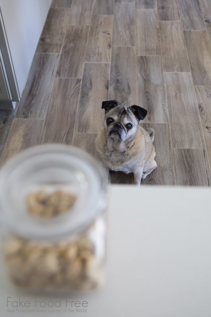 Macy Mae in the new kitchen