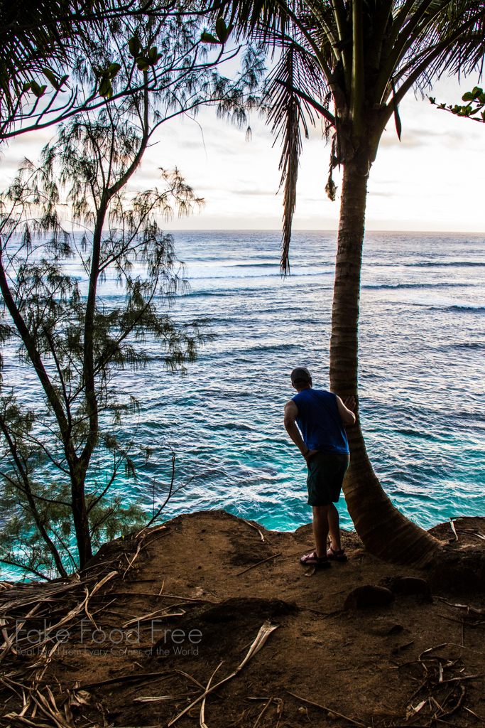 Kauai. Photo by Lori Rice. | FakeFoodFree.com