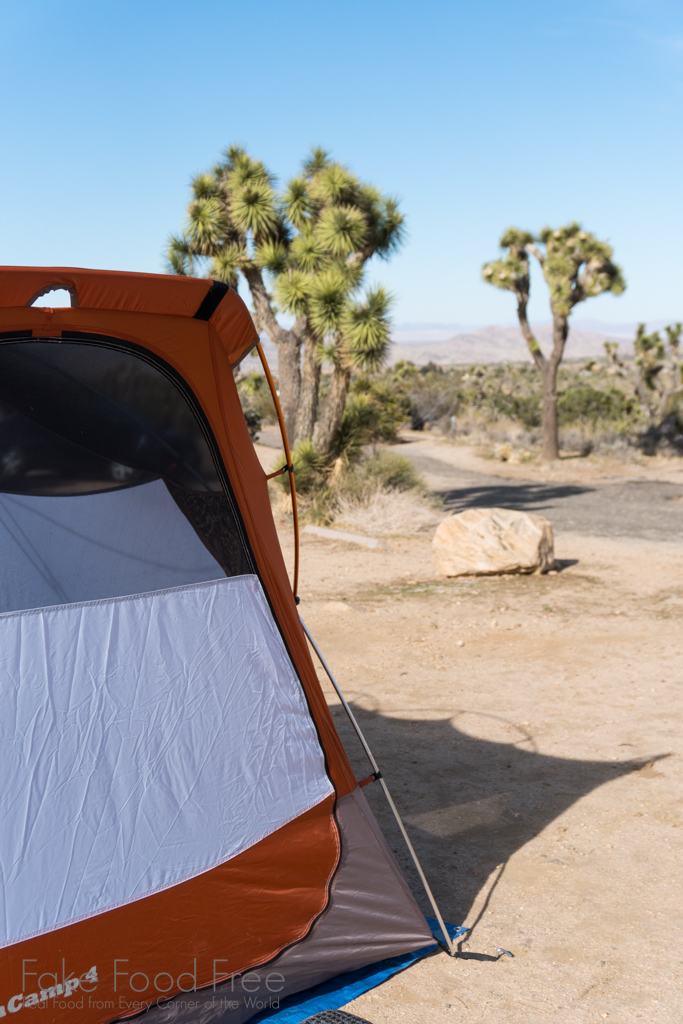 Black Rock Campground in Joshua Tree National Park