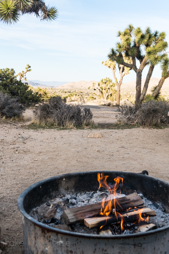 Campfire at Black Rock Campground Yucca Valley and Joshua Tree National Park | California Travel