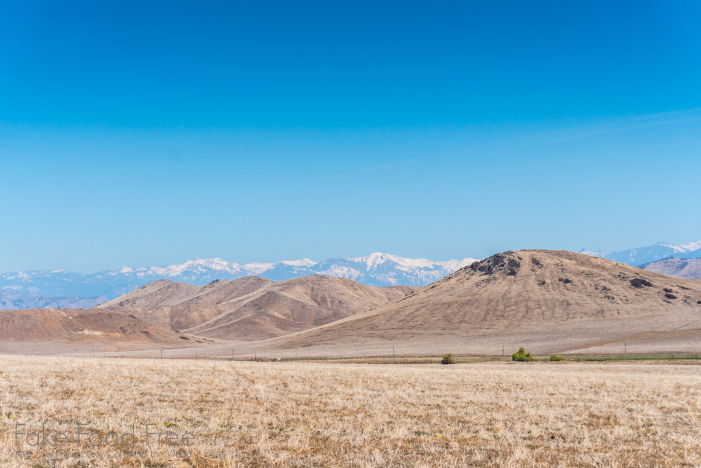 Sierra Nevada Mountain Range from Exeter California