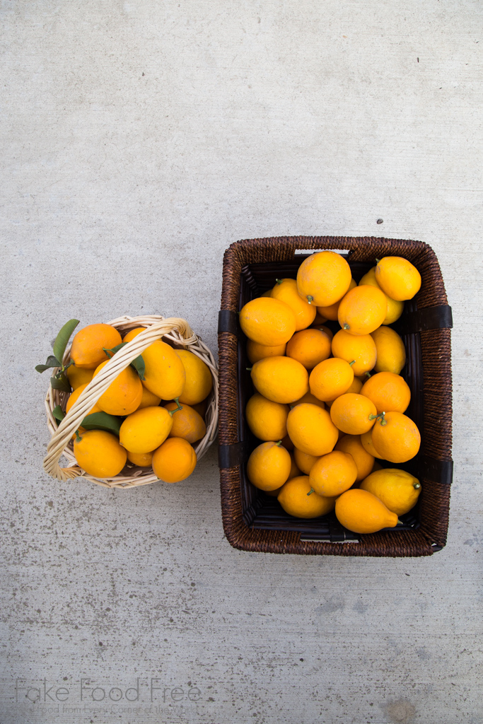 Meyer Lemon Harvest | FakeFoodFree.com