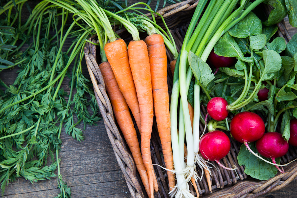 Garden harvest | Photo by Lori Rice