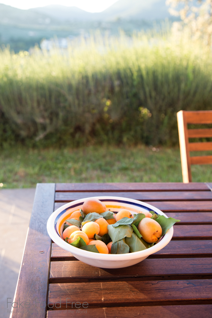 Bowl of Apricots at Sunset | Food Photography in Italy