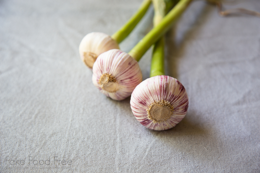 Purple Garlic | Photo by Lori Rice