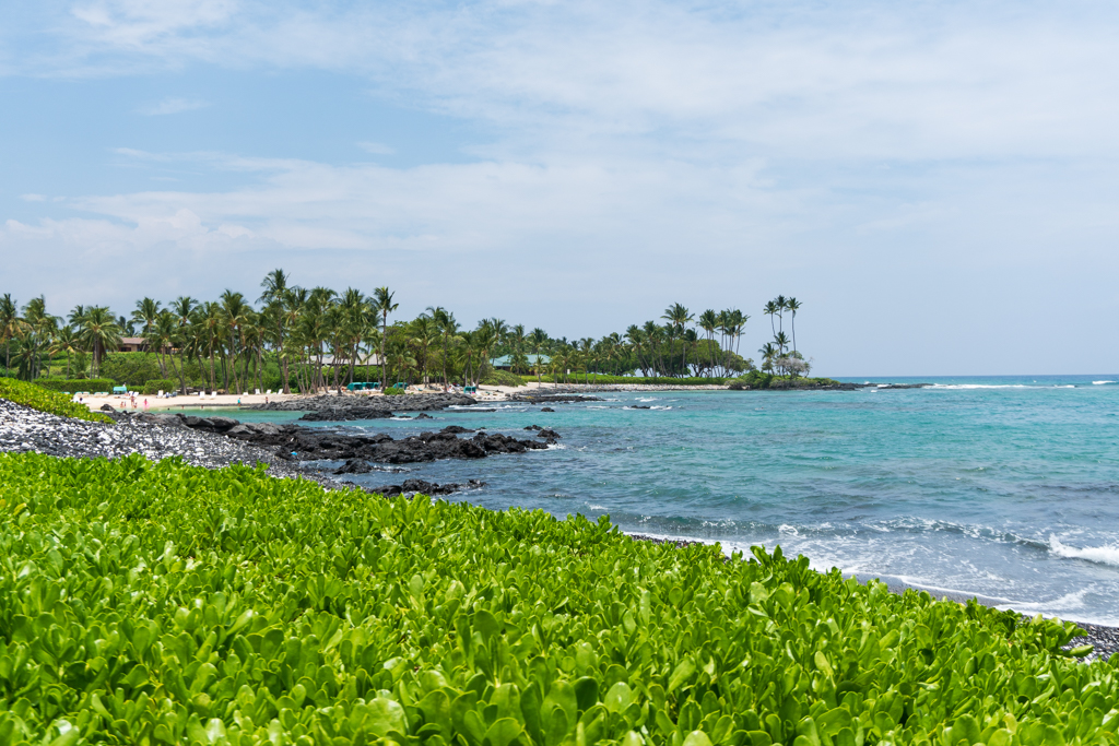 Property of the Fairmont Orchid Resort on the Kohala Coast, Hawaii | FakeFoodFree.com Travels