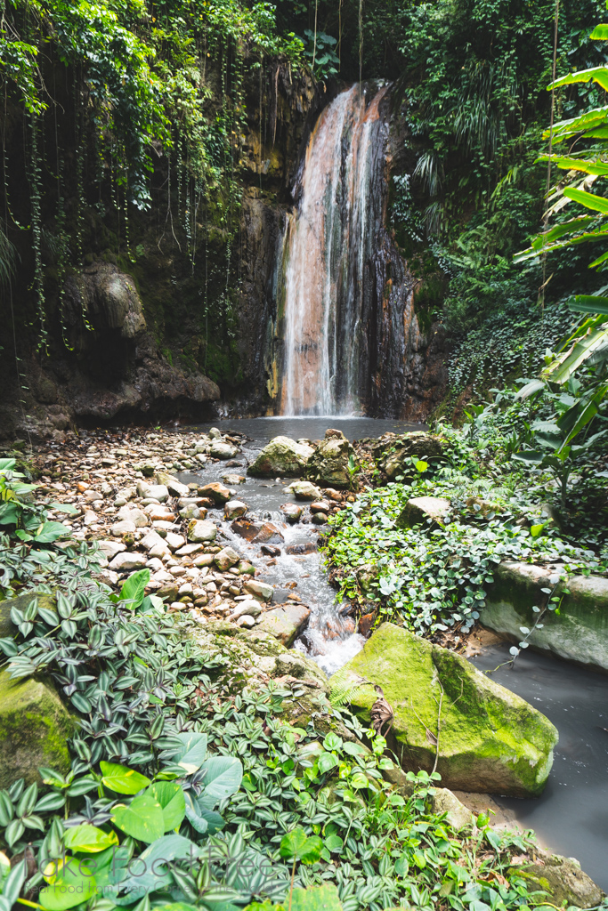 Planning a Trip to St. Lucia | Diamond Falls Botanical Garden | Travel tips at FakeFoodFree.com