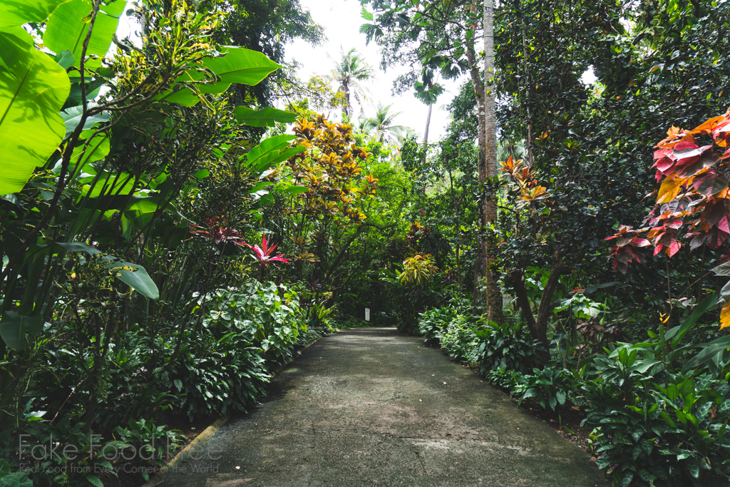 Diamond Falls Botanical Garden | St. Lucia travel tips at FakeFoodFree.com