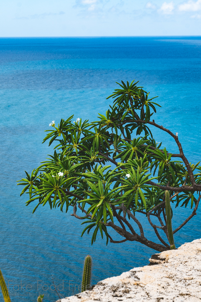 Fort Rodney Pigeon Island St. Lucia | Travel tips at FakeFoodFree.com