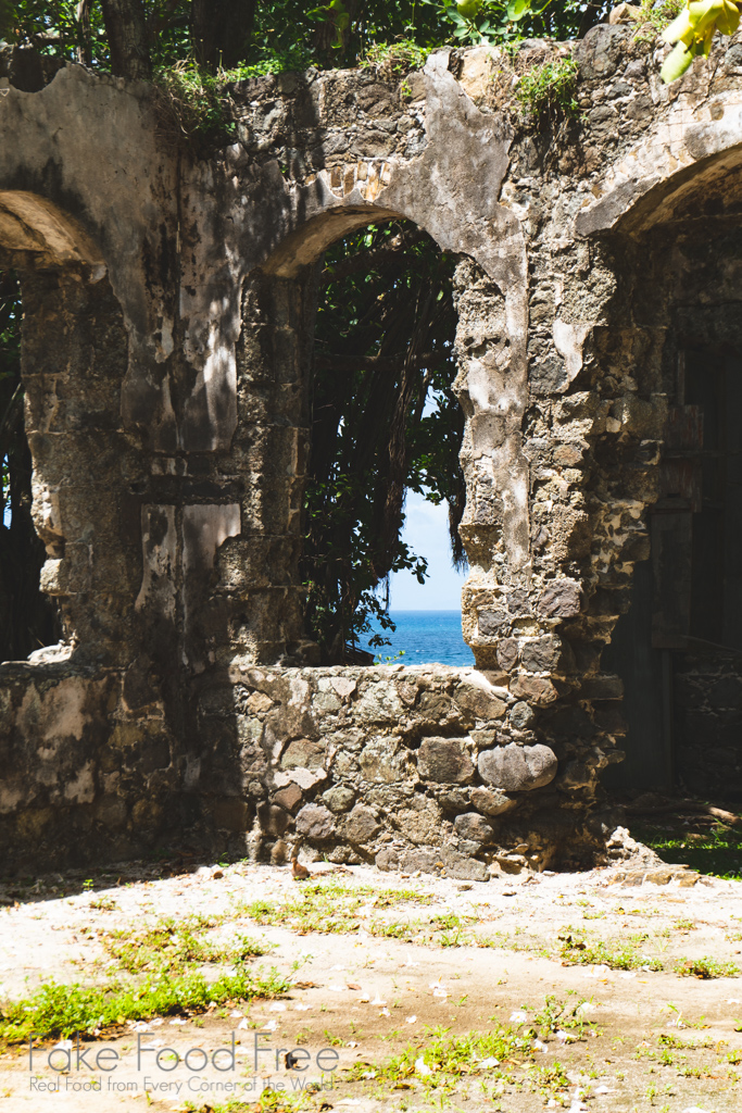 Pigeon Island St. Lucia